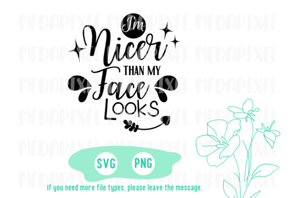 I m Nicer Than My Face Looks Svg, Funny Graphics and Crafts