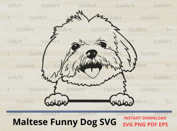 Maltese Funny Dog SVG Graphics for Crafts